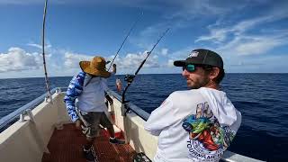 Golden TileFish Alfonsino Rosie’s catch at Pulley Ridge July 3 2024 [upl. by Retsev346]