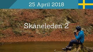 When the Trail Bloom – RövarekulanLöberöd – Skåneleden 3 – Day 2 [upl. by Orfurd409]