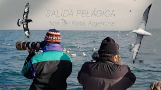 Salidas Pelágicas en Mar del Plata [upl. by Maurey321]