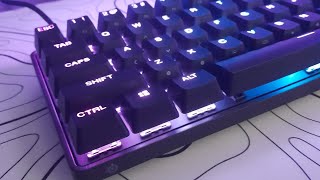 i tried the apex pro mini the best and fastest gaming keyboard [upl. by Edana545]