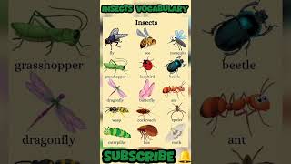 Insects Vocabulary Speak English A1 to C1 speaking english vocabulary insects actionverbs ILET [upl. by Bindman]