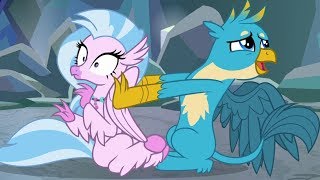 Silverstream  Gallus MLP [upl. by Mackenie]