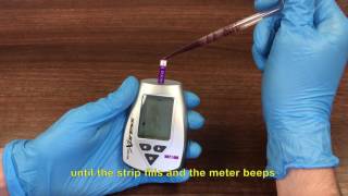 NovaVet Lactate Meter Demonstration [upl. by Hujsak320]