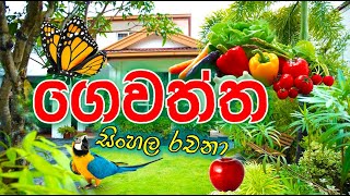 අපේ ගෙවත්ත l රචනාව l rachanawa l ape gewaththa l essay l schoolship l grade 5 rachana l sinhala [upl. by Alwin]