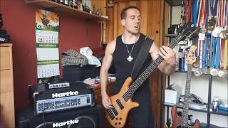 Twilight of the Thunder God by Amon Amarth bass cover [upl. by Timms]