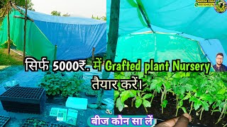 सिर्फ 5000₹ में Grafted plant nursery setup under 5000 rs [upl. by Adnahcir]