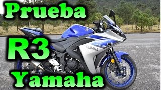 Yamaha R3 2016  Review en Español [upl. by Noremac]