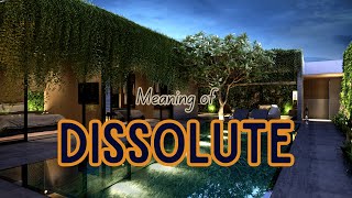 What is the meaning of Dissolute [upl. by Robi]