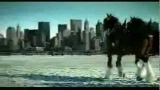 Budweiser 911 tribute commercial [upl. by Qidas]