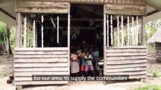 Students Plant Mangroves at Lopahan Village Manus Island PNG [upl. by Yrred]