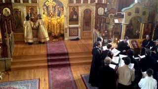 PaTRAM master class sings Cherubic Hymn at Jordanville [upl. by Adilem]