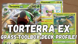 Torterra ex Deck Profile Post Rotation Temporal Forces Rogue Deck Discussion [upl. by Nesyaj595]