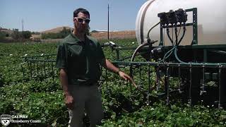 Strawberry Center Field Day 2020 V5 Importance of Sprayer Calibration [upl. by Nnairrek]