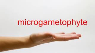 How to Pronounce microgametophyte  American English [upl. by Willi]