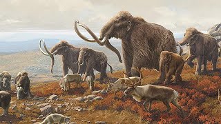 Pleistocene Park  An Introduction [upl. by Stout]