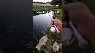 Yes Micro Fly Rods are fun fishing flyfishing ultralightfishing [upl. by Keemahs139]