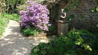 20160512 Hidcote Manor amp Gardens Chipping Campden UK  03 [upl. by Ynnus]