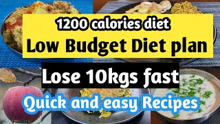 Low budget diet plan Lose 10kgs in 1 month  1200 calorie diet plan  full day Diet plan [upl. by Aneekat]