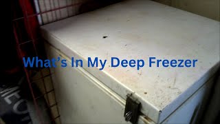 Whats in My Deep Freezer  Food Storage [upl. by Terrye]