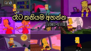 මනෝපාරකට සින්දු slowedreverb  manoparakata sinhala songs [upl. by Notfol]