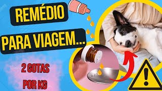 Sedativos Para Viajar Com Cães [upl. by Ylrbmik]