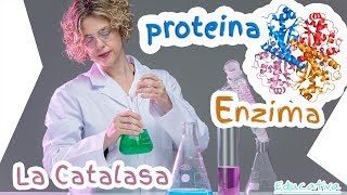 Experimento Biología  Química con la Enzima Catalasa Generación de Oxígeno [upl. by Yunfei]