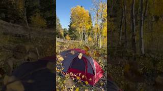 Gordon Gulch dispersed camping outdoors camping colors fall mountains sunset goodvibes yew [upl. by Asher]