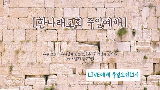 창립10주년 한영혼비전축제 한나래교회 amp 마라나타프레이즈 [upl. by Olegnaleahcim]