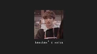 haechan’s voice asmr [upl. by Ataga]