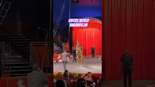 wisconsin circus circusworld family baraboo trending entertainment shorts vacation [upl. by Devaj694]