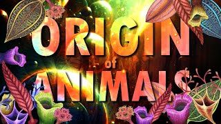 ORIGIN of ANIMALS [upl. by Coleen498]