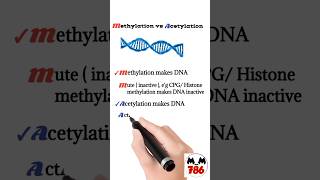 methylation and acetylation [upl. by Isis]