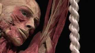 Opening BODY WORLDS The Happiness Project in Amsterdam [upl. by Cart]