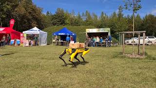 Roboterhund Spot verteilt auf dem Jenaer Schottplatz kleine Geschenke an die Besucher [upl. by Nageet]