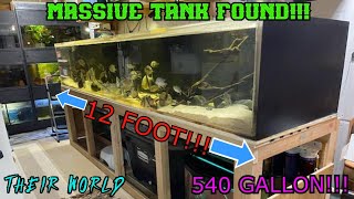 MASSIVE 12 FOOT AQUARIUM FOUND [upl. by Ahcas]