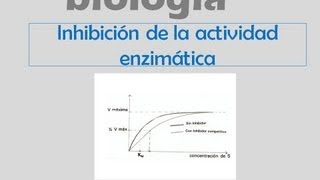 Inhibidores de la actividad enzimática [upl. by Dolli342]