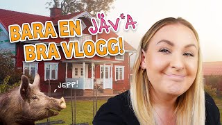 Det blir ALLTID så här🙈  VLOGG [upl. by Hagood832]