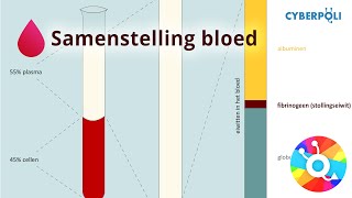 Samenstelling  Bloed [upl. by Ardnalac]