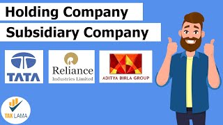 What is Holding and Subsidiary Company Explained in Hindi  with Examples [upl. by Ycam627]