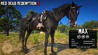 The Most Underrated Horse in Red Dead Redemption 2  Black Arabian  RDR2  PS4 Slim [upl. by Kast845]