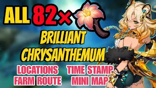 All 82 Brilliant Chrysanthemum Locations amp farm route  Genshin Impact Xilonen ascension materials [upl. by Neltiac]