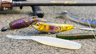 Bait Finesse Tricks You Have To Try BFS Fishing Tips For Summer And Fall [upl. by Ainwat905]