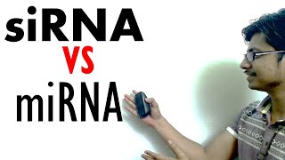 siRNA vs miRNA  The difference between mirna and sirna [upl. by Nitsoj]