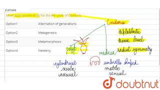 Most appropriate term for the life cycle of Obelia is [upl. by Arabele]