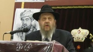 Rabbi Immanuel Schochet on The Rambam and The Rebbe [upl. by Berthoud]