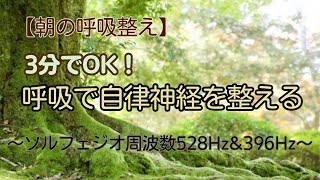 【朝の呼吸整え】3分呼吸で自律神経を整える～ソルフェジオ周波数528Hzamp396Hz～ [upl. by Meter]