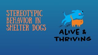 Stereotypic Behavior in Shelter Dogs [upl. by Natalee]