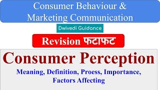 Consumer Perception Meaning Definition Process Consumer Behaviour and marketing communication [upl. by Aizti]