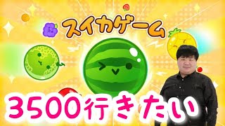 【初見さん大歓迎】今月こそ3500点いきたい！参加型オンライン対戦もぜひ【スイカゲーム】 [upl. by Pattani]