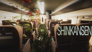 Chillas Art hat ein Observation Game gemacht  Shinkansen 0  新幹線 0号 [upl. by Ailssa315]